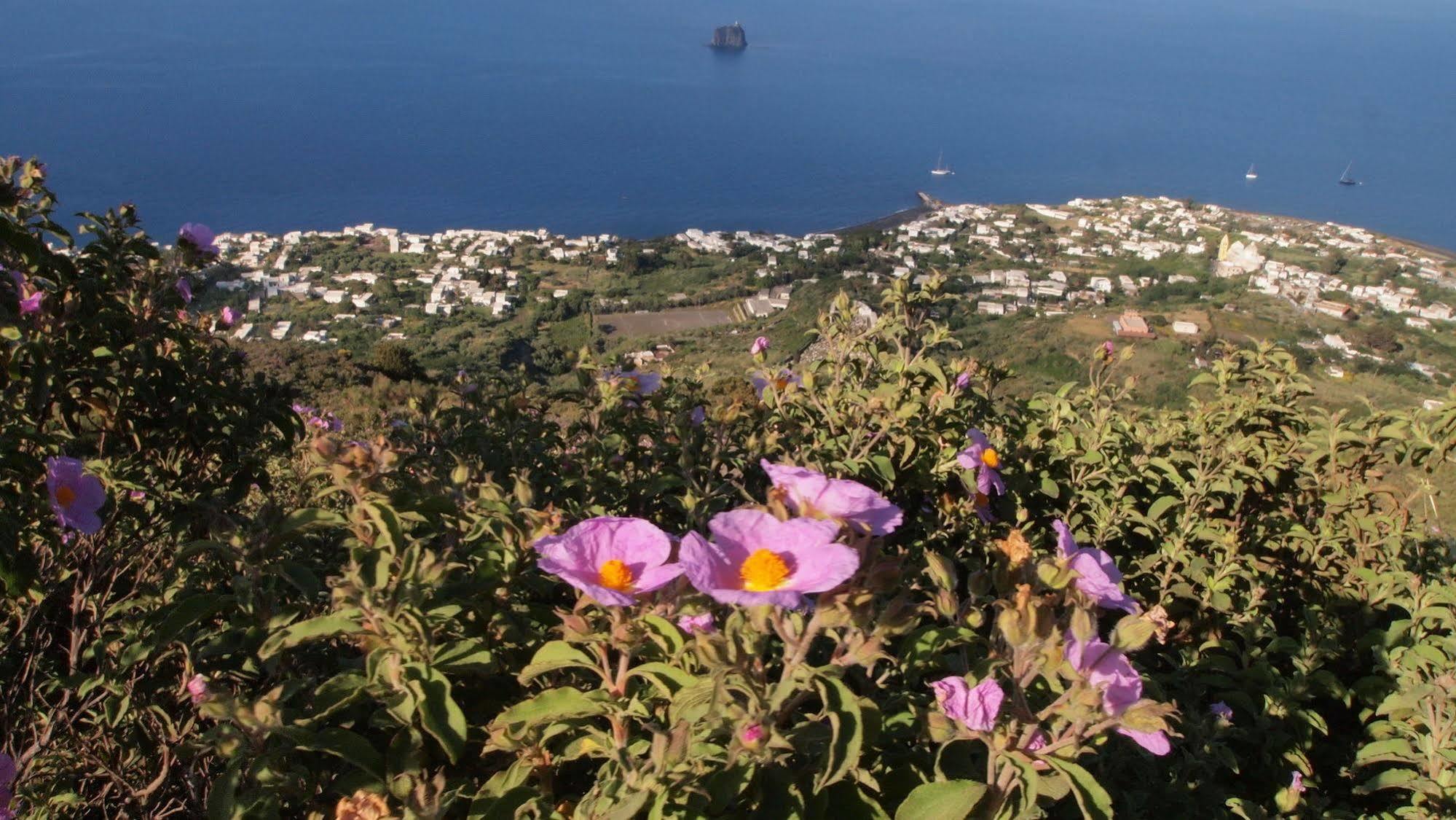 Il Vulcano A Piedi Stromboli Buitenkant foto